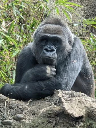 A photo from Bronx Zoo