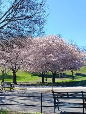 A photo from St. Mary's Park