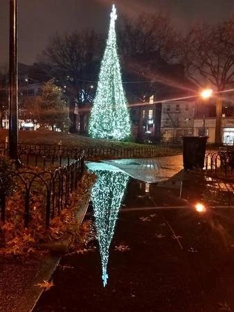 A photo from Ciccarone Playground