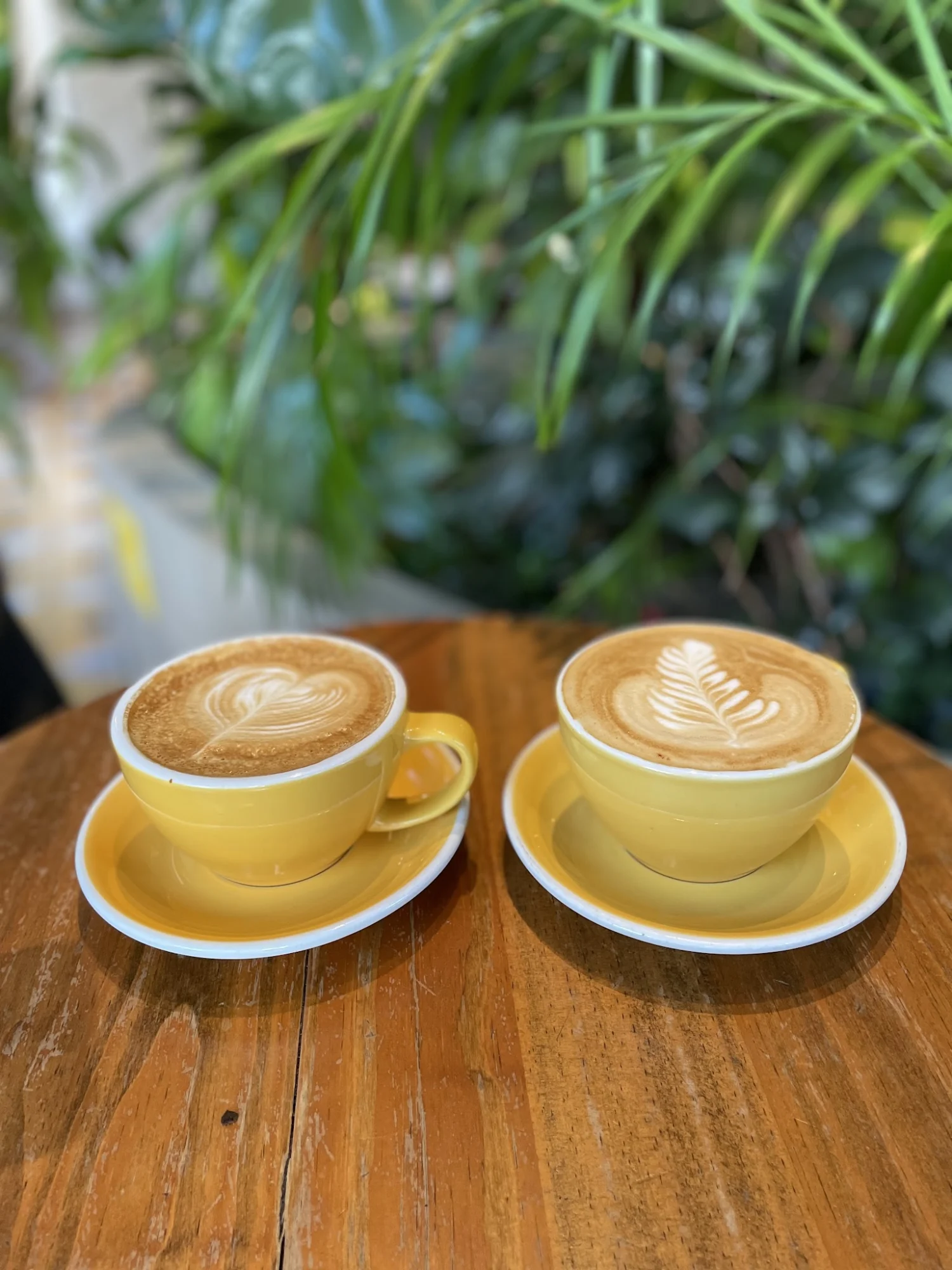 Devoción featured image Two cups of coffee with latte art on a wooden table at Devoción, Bronx NYC.