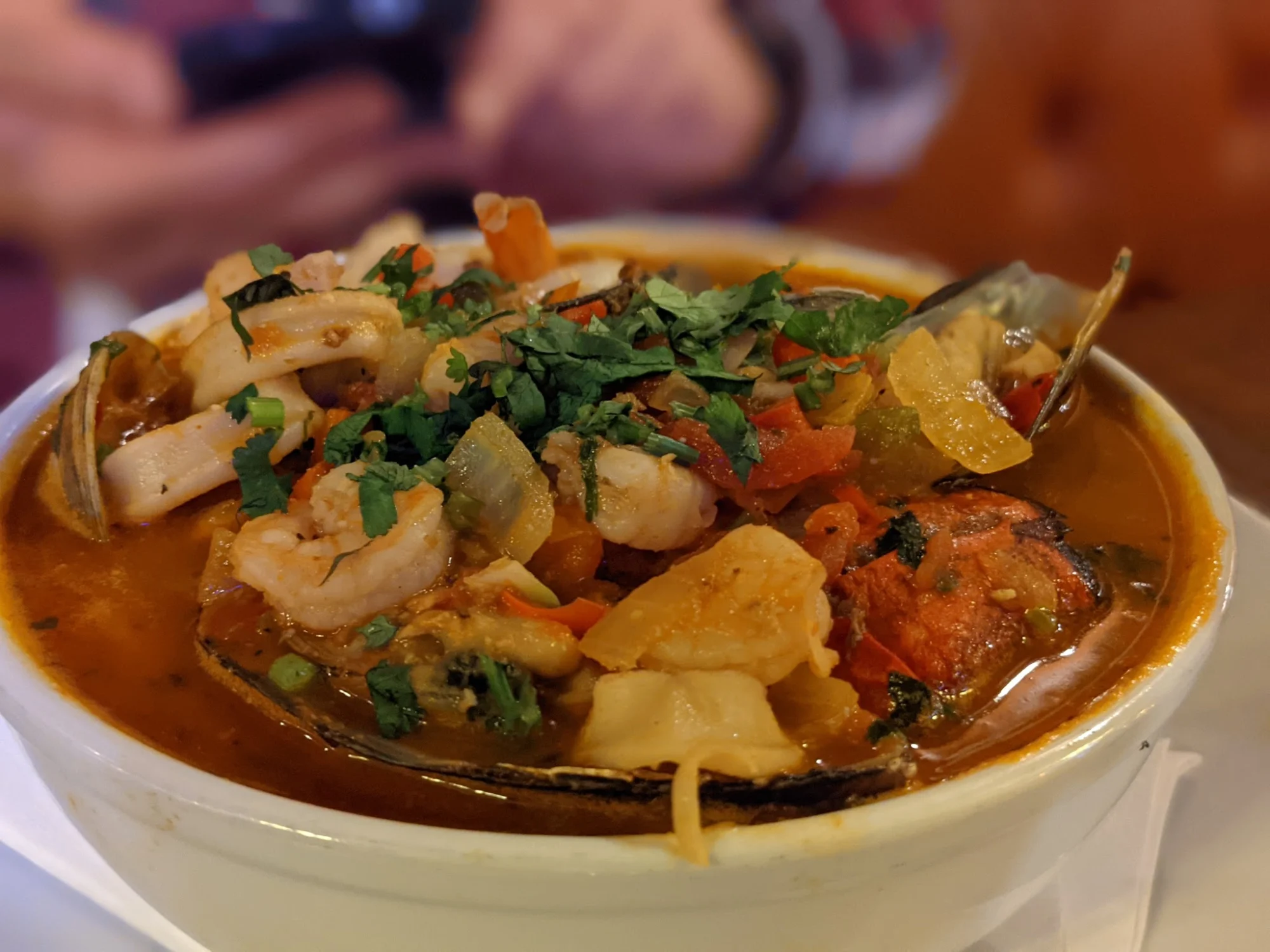 Bowl of seafood stew with mussels, shrimp, vegetables, and herbs at Havana Cafe Takeout, Parkchester.