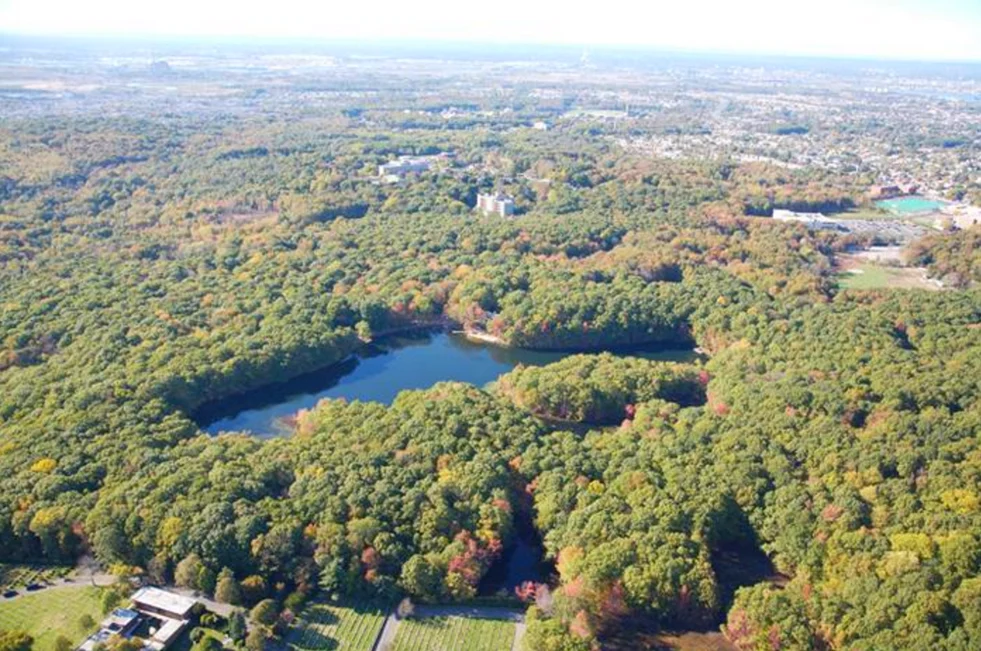 Aerial view of Greenbelt Nature Center, Egbertville, Bronx NYC, showcasing expansive green forests and a central lake.