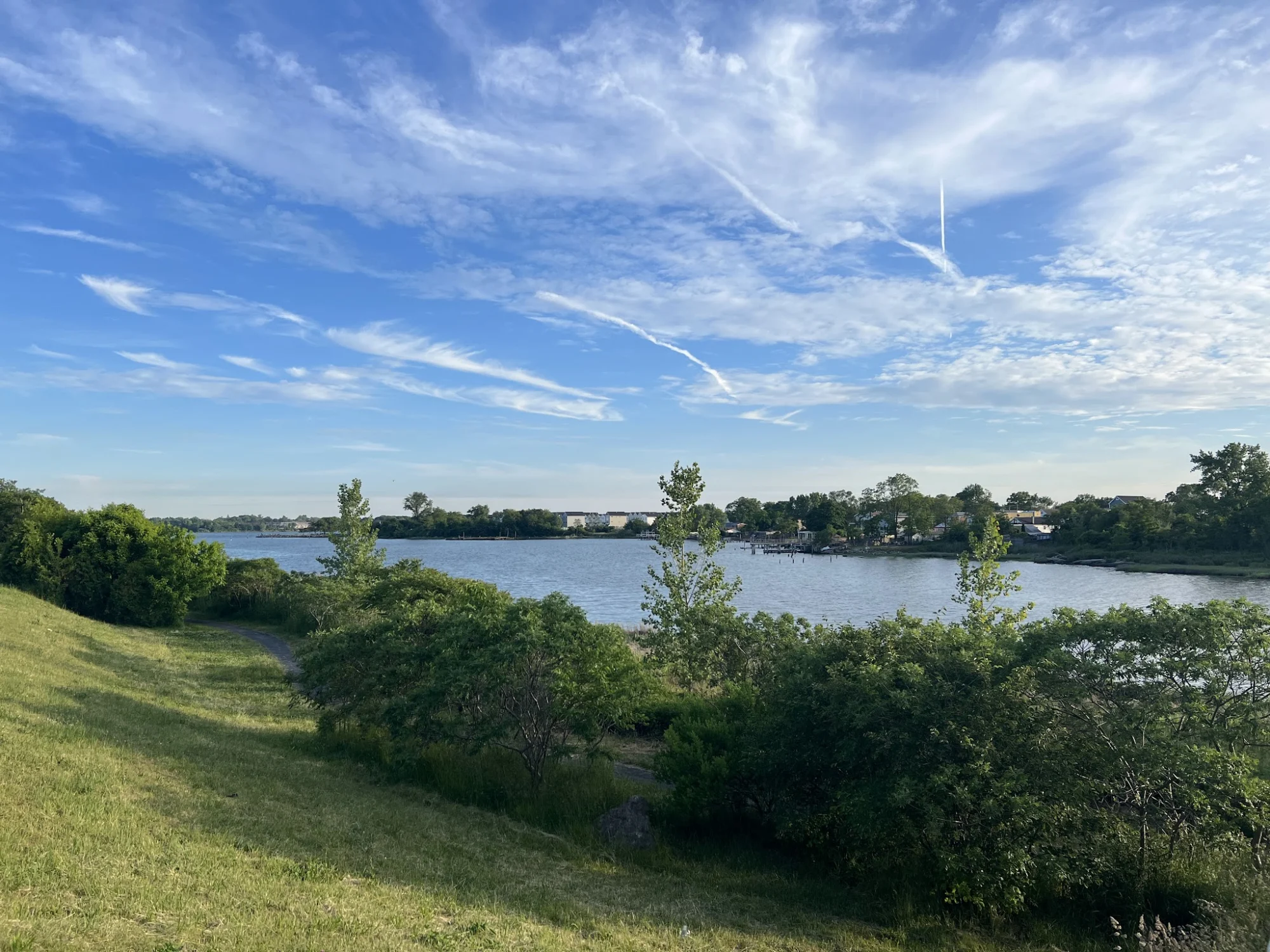 Castle Hill Park featured image Grassy area with trees overlooking the water at Castle Hill Park, Castle Hill, Bronx NYC.