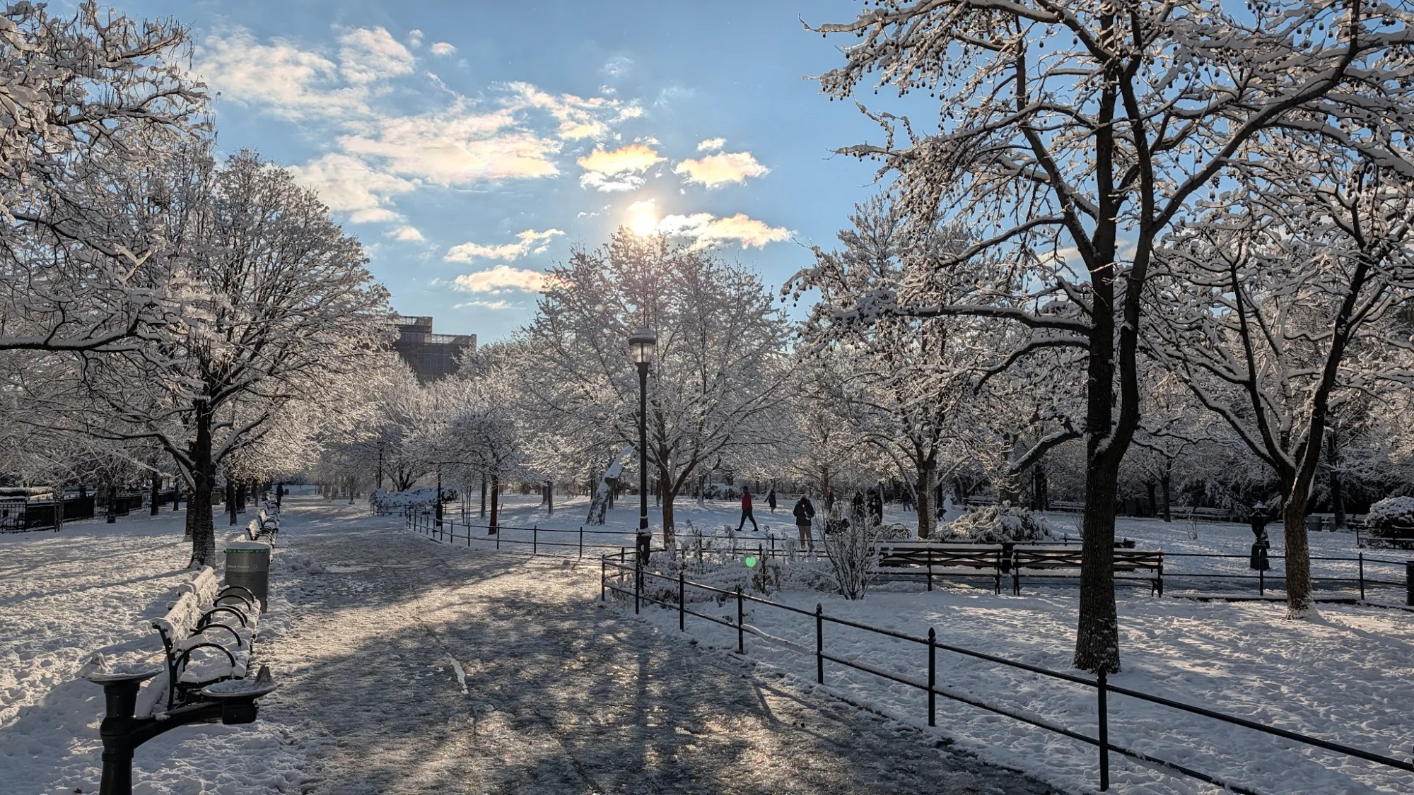 Snow-covered trees and benches under a clear sky at Joyce Kilmer Park, Concourse.