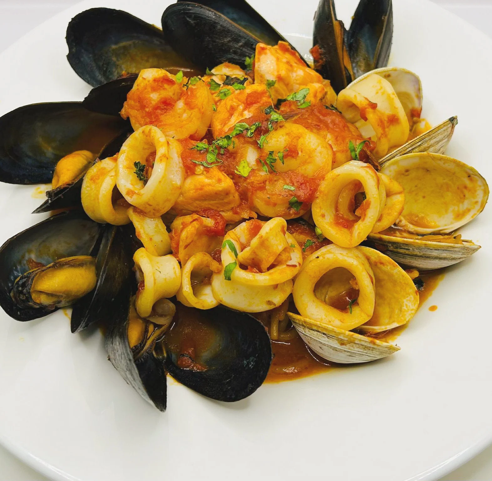 Seafood dish with mussels, squid, and shrimp on a white plate at Piccolino Ristorante, Great Kills.