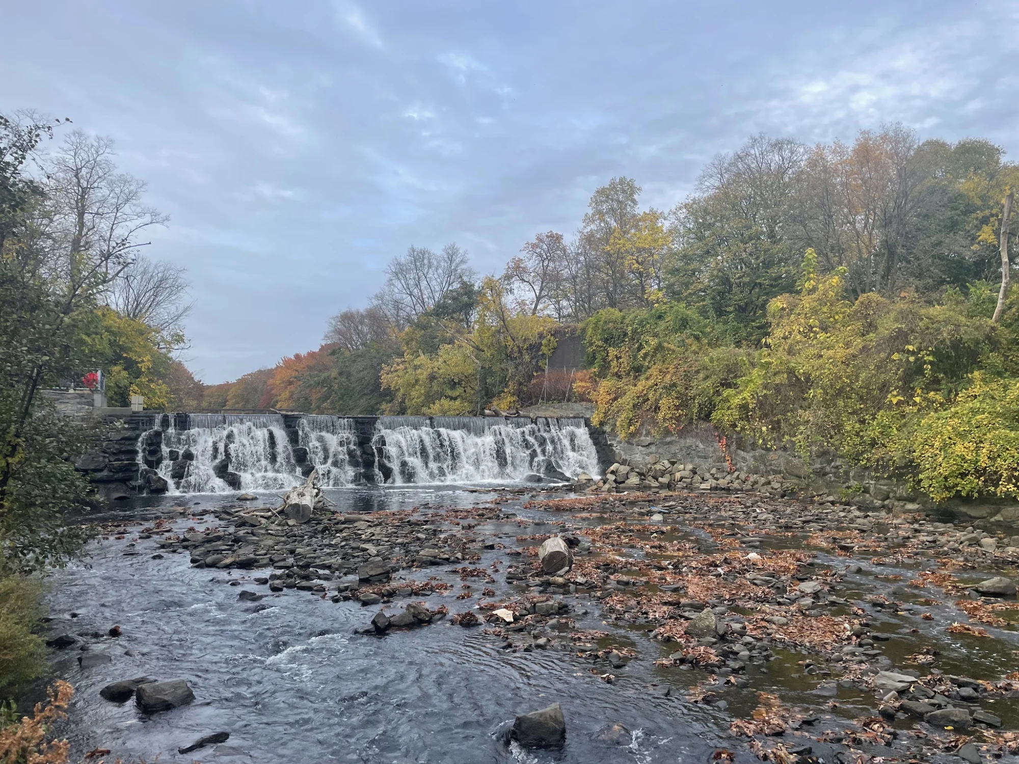 Waterfall view with surrounding trees in fall colors at River Park, West Farms.