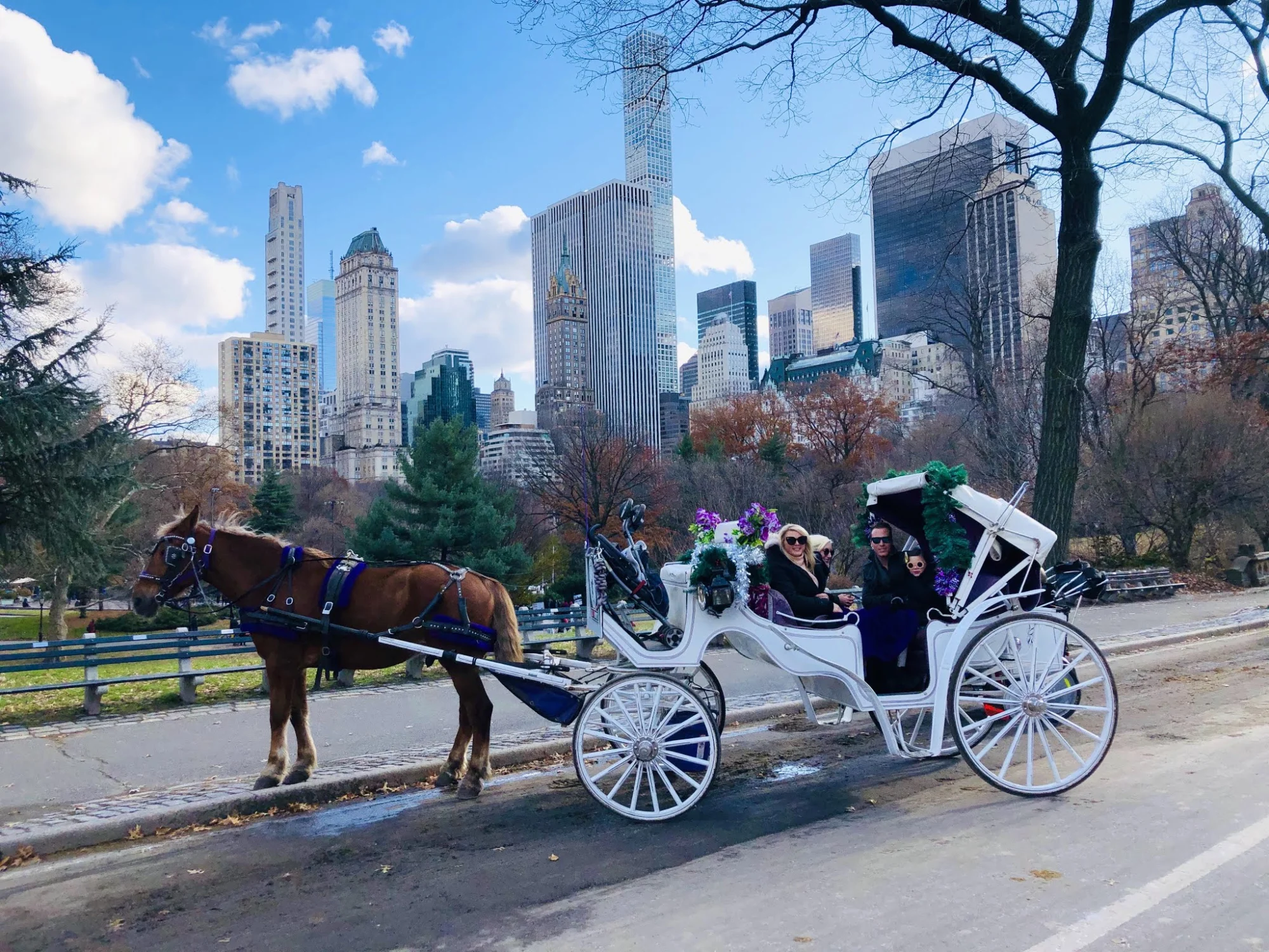 Horse-drawn carriage with tourists riding along a Central Park path with NYC skyline in the background, Central Park South, Bronx NYC.
